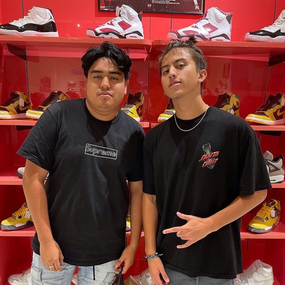 Meet your Posher, Jessie